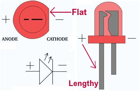 anode and cathode led length