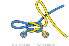 Two Stage Shoelace Knot diagram 7