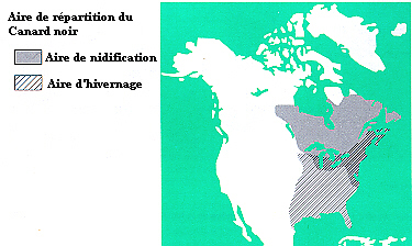 carte de l'aire de répartition du Canard noir