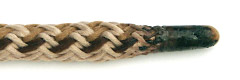 Melted Shoelace Aglet picture 1