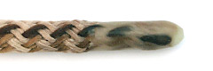 Candle Wax / Resin Aglet picture 2